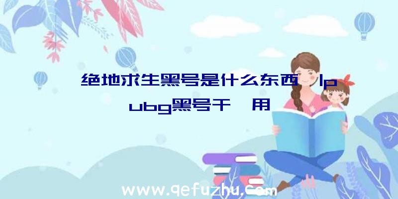 「绝地求生黑号是什么东西」|pubg黑号干嘛用